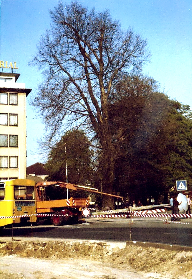 Zum weißen Rössel; Schulespielen